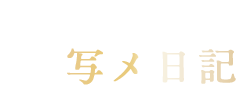 写メ日記
